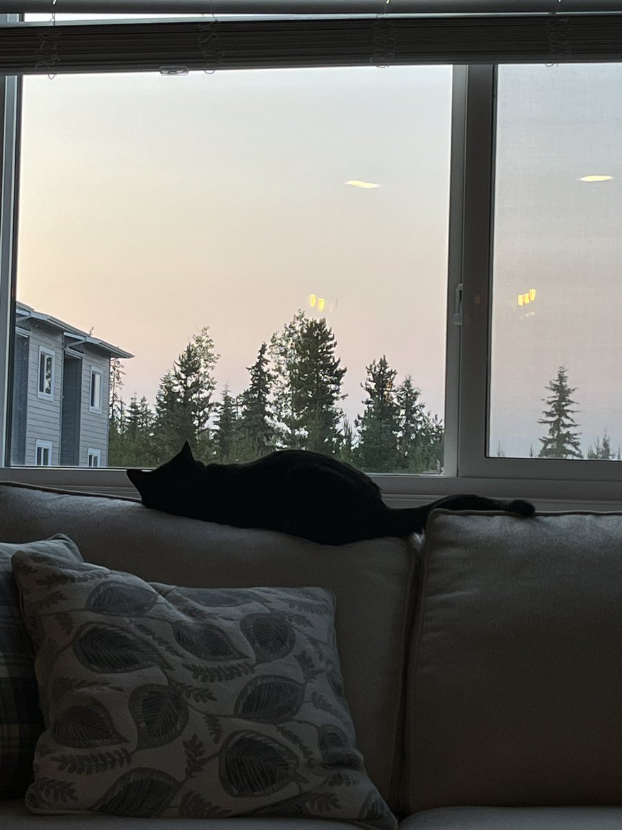 Today’s #patiopic. Life is good. #Saturdays ❤️