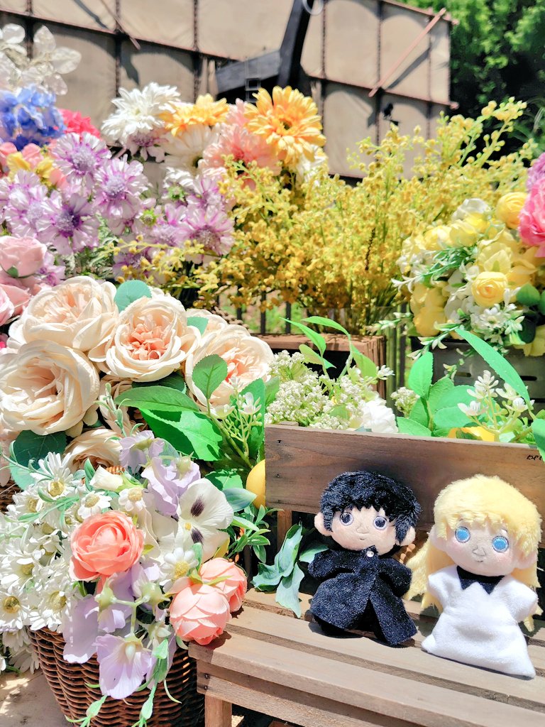 クニットとスクルット🌼