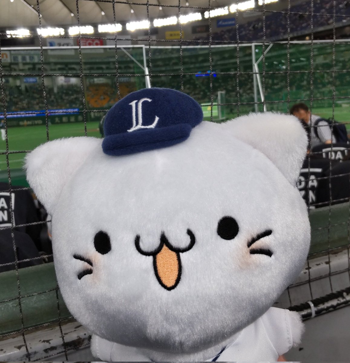 hato1961's tweet photo. ド着だにゃ〜
今日はここから全力応援にゃ〜
#べるーにゃ https://t.co/IznGaYfXDC