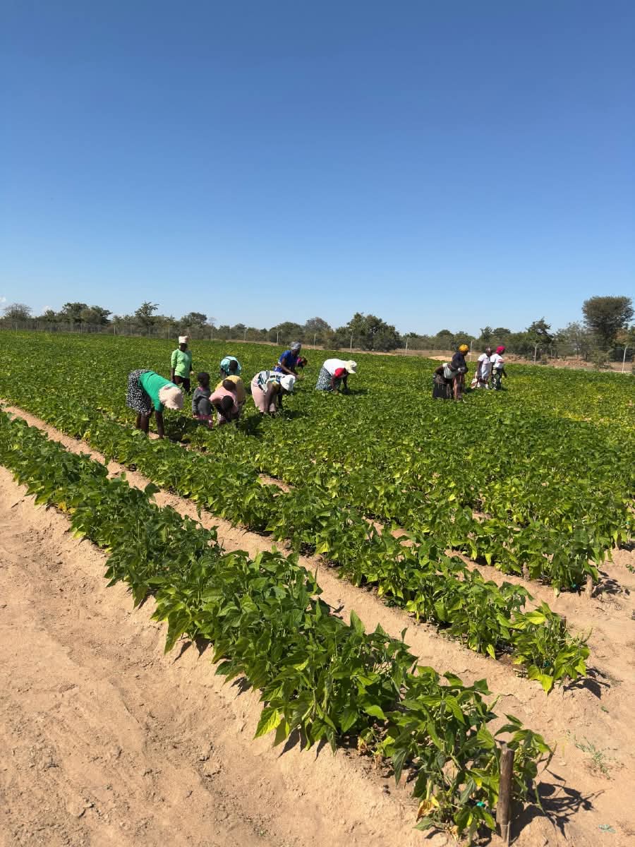 #NDS1 

1. The establishment of village business units (VBUs), is empowering rural communities, improving their livelihoods &amp; promoting sustainable livelihoods. VBUs provide stable income, create commercially viable enterprises &amp; provide financial security for rural communities.