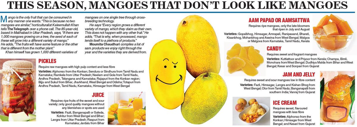Telegraph Features (@ttfeaturez) on Twitter photo This season, mangoes that don’t like mangoes
<a href="/Moumita78/">Moumita Chaudhuri</a> finds out
<a href="/SankarshanT/">Sankarshan Thakur</a> <a href="/ttindia/">The Telegraph</a> This season, mangoes that don’t like mangoes
<a href="/Moumita78/">Moumita Chaudhuri</a> finds out
<a href="/SankarshanT/">Sankarshan Thakur</a> <a href="/ttindia/">The Telegraph</a>