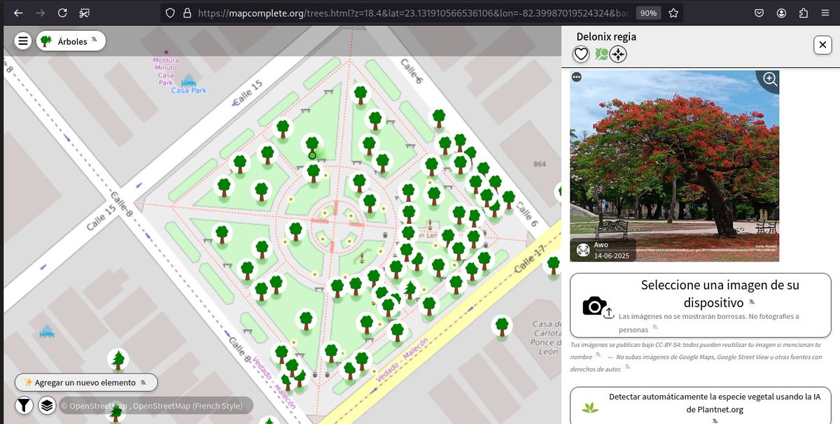 openmapchile's tweet photo. 🌳🔥📌📸🗺️🇨🇺#Árbol de fuego o #Flamboyán de #LaHabana #Cuba  mapeados en #OpenStreetMap @OSMLatam visor #MapComplete @MapComplete https://t.co/waqIVx2cPp