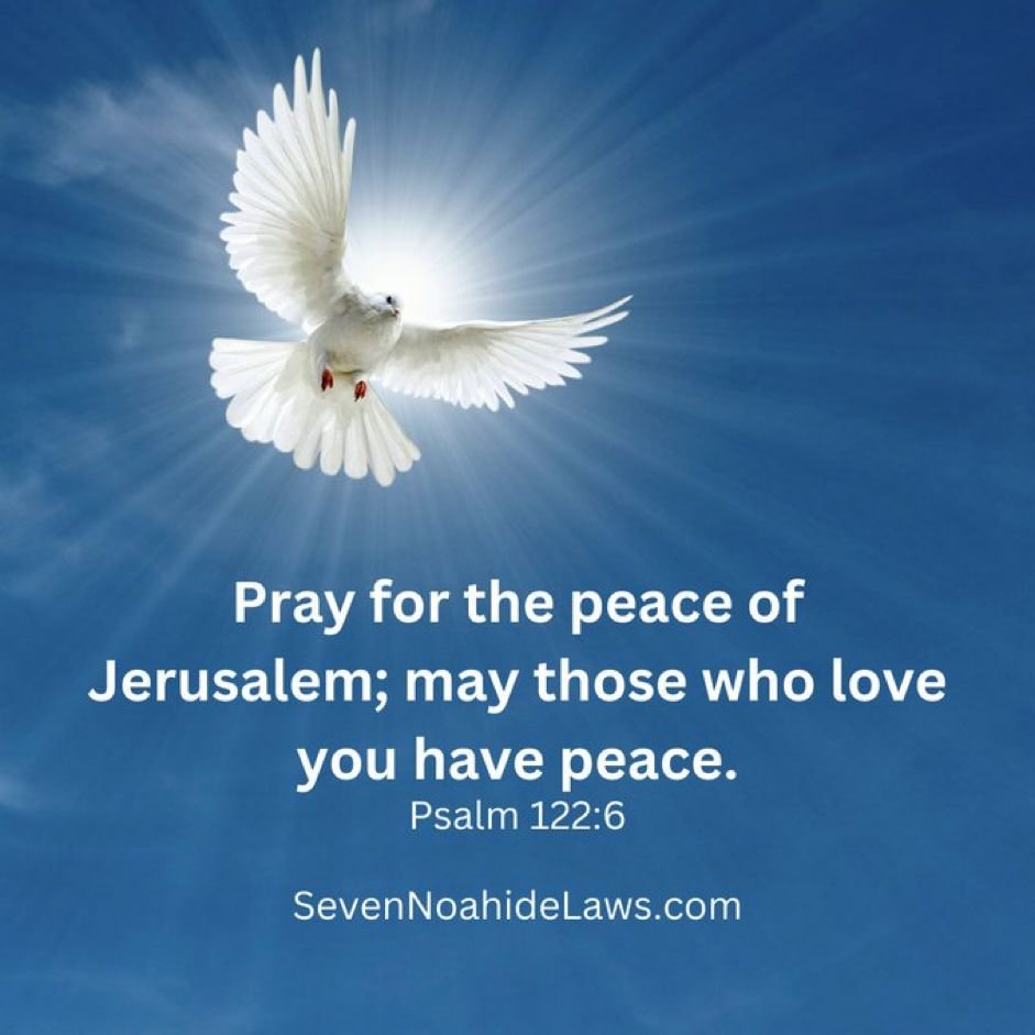 7 Laws of Light (@7noahidelaws) on Twitter photo <a href="/amjadt25/">Amjad Taha أمجد طه</a> Pray for the Peace of Persia and Jerusalem
Pray for The Rising Lions
"Peace isn’t given. It’s earned, protected,
And sometimes enforced."🕯️☮️🙏 <a href="/amjadt25/">Amjad Taha أمجد طه</a> Pray for the Peace of Persia and Jerusalem
Pray for The Rising Lions
"Peace isn’t given. It’s earned, protected,
And sometimes enforced."🕯️☮️🙏