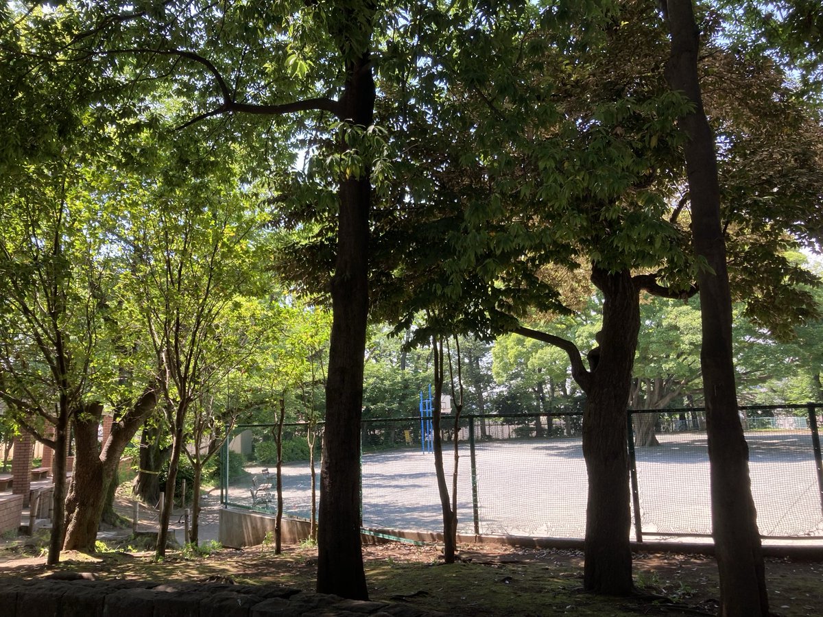 mach2000mach's tweet photo. 自宅近くの公園で妻とバカンス気分。大好きな川遊びや海水浴に行ったつもりで… https://t.co/sOAFz0q3p2