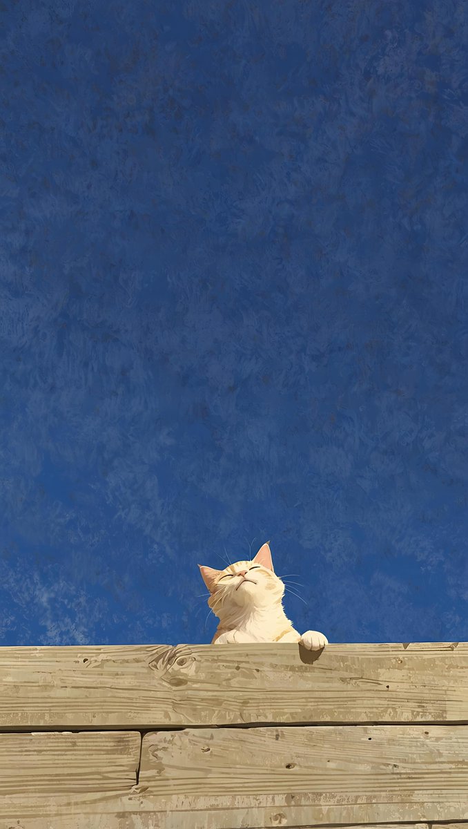 wallpapers_tore's tweet photo. ᨐᵐᵉᵒʷ https://t.co/T5gRe1glm9