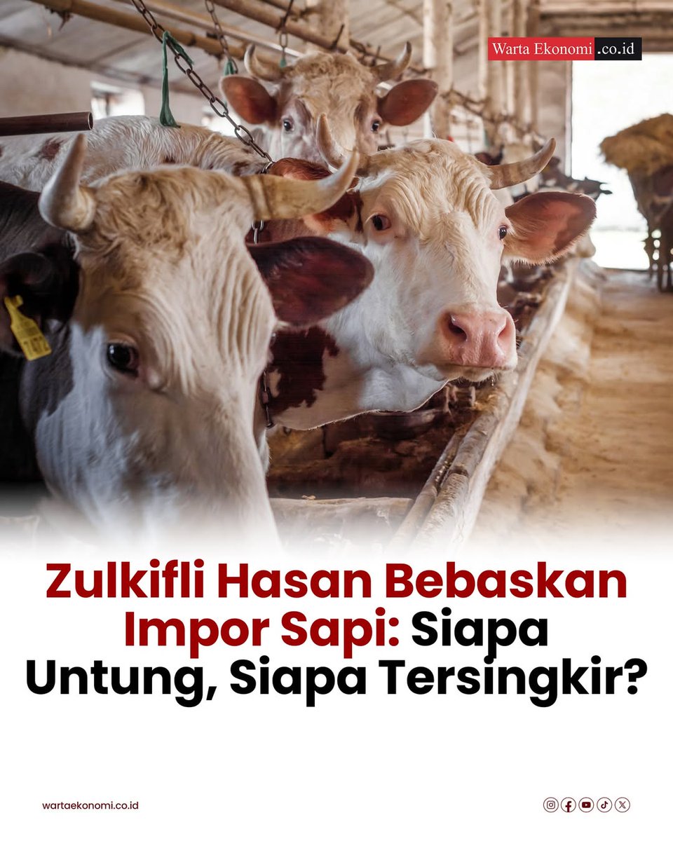 Lagi lagi peternak lokal menangis.