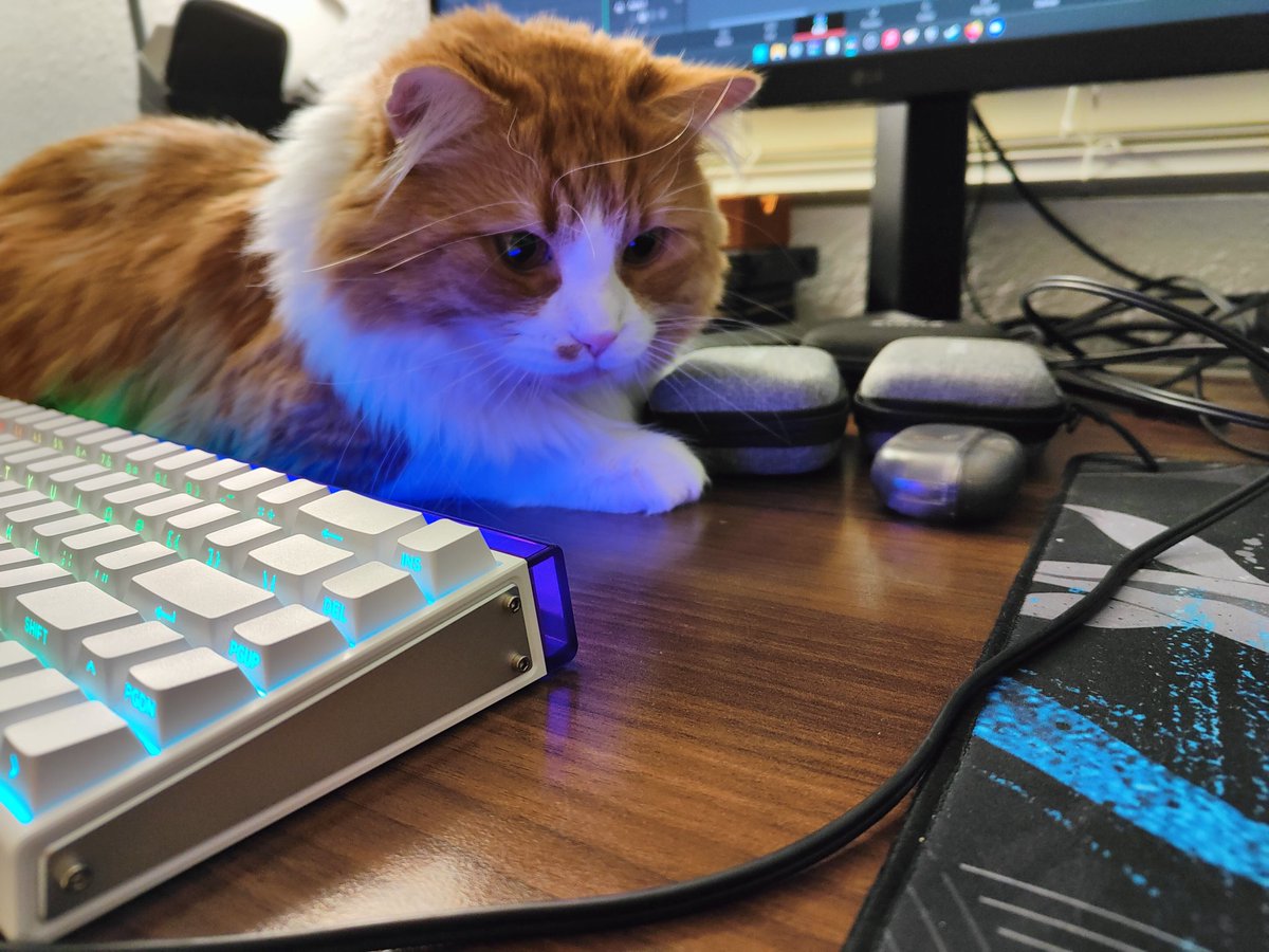 I wonder what he's looking at...