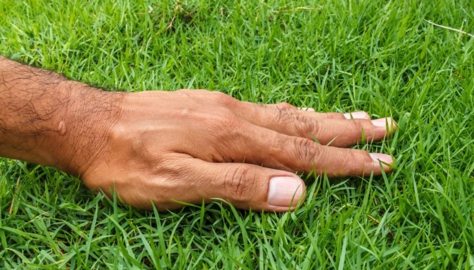 inno649's tweet photo. #openseatouchgrass 

touch grass https://t.co/lQa9nV9AVs