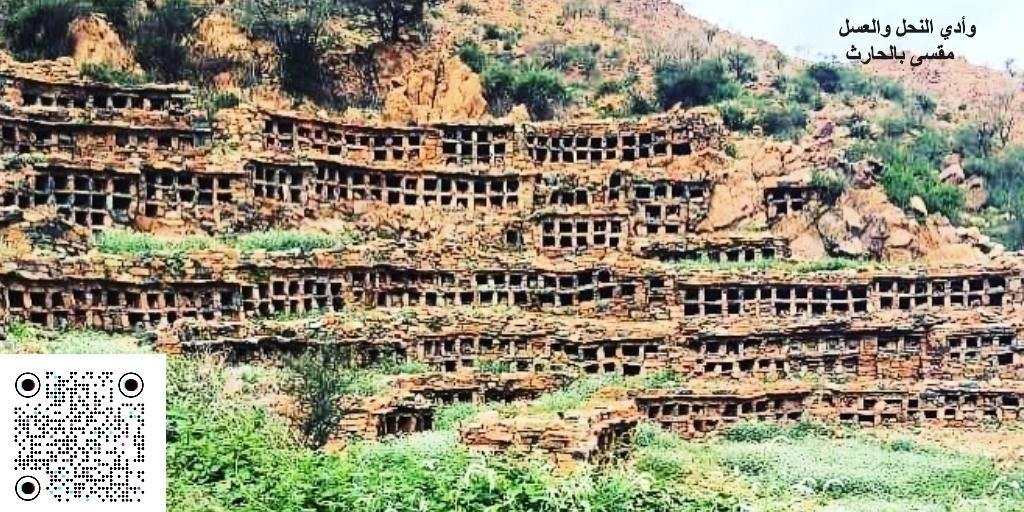 في ذكرى مبايعة سمو ولي العهد الأمير محمد بن سلمان حفظه الله،
نستحضر مسيرة وطنٍ تتجسد فيه الطموحات، وتُترجم إلى إنجازات تُبهر العالم 🇸🇦✨

رؤية طموحة، وخطى ثابتة، ومستقبل واعد بإذن الله.
#مبايعة_ولي_العهد