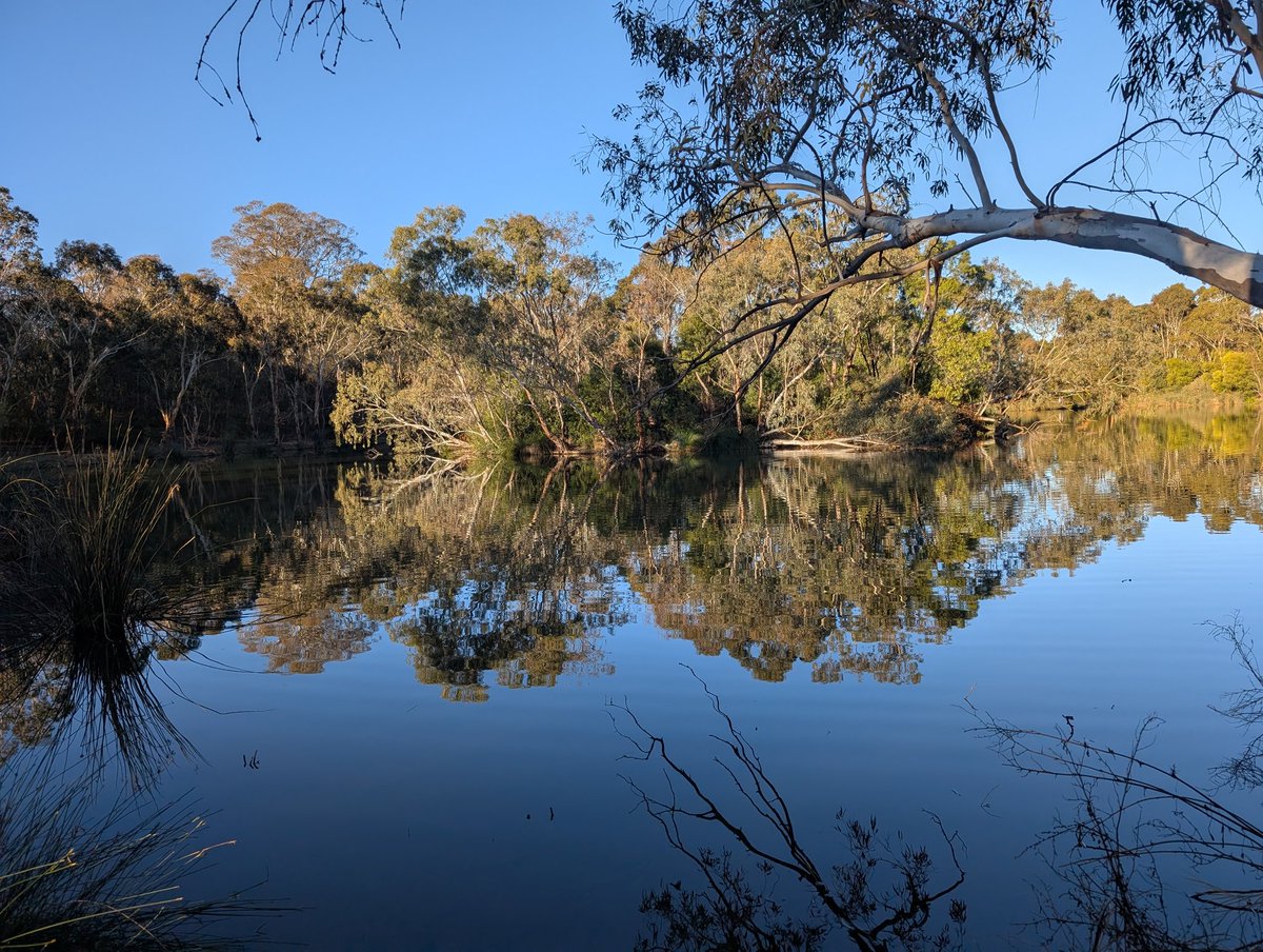 TheWitchersOne's tweet image. One for @DavidMariposa1 . Do you remember launching #ShadowsReflects ?