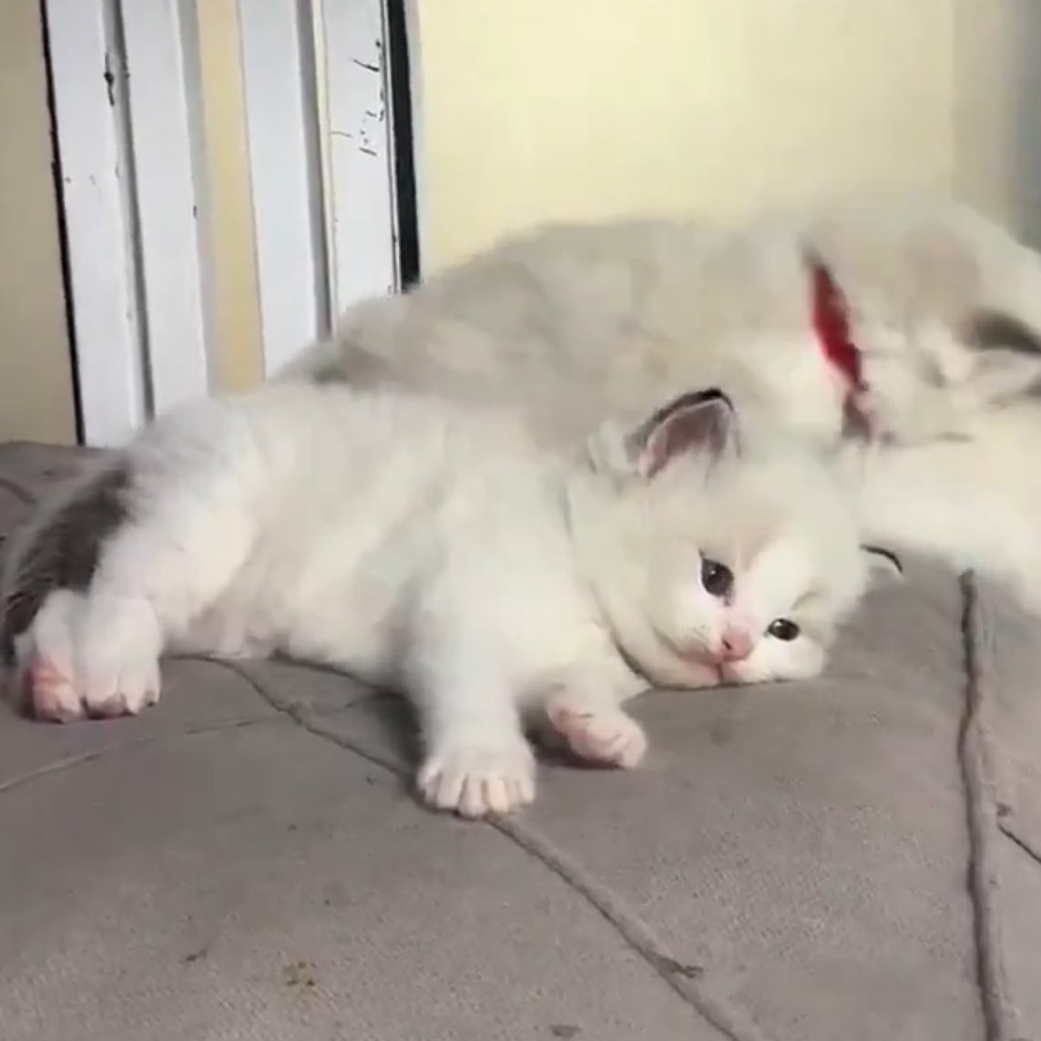 เค้าจะคิดถึงชั้นบ้างมั้ยนะ