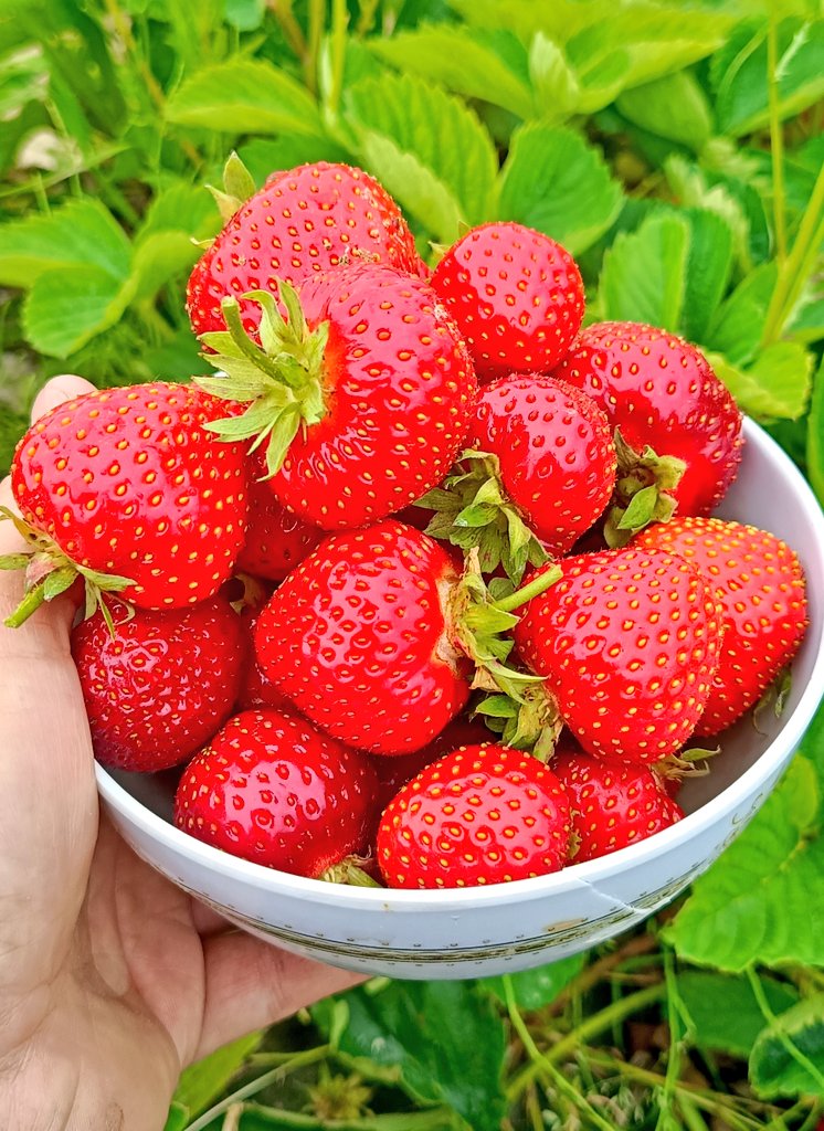 Śniadanie 🍓🍓🍓