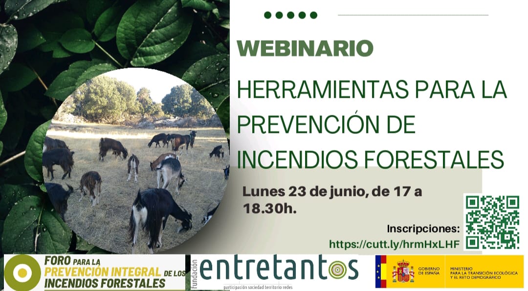 La #ganaderíaextensiva sabe mucho de #prevención de incendios #IIFF, es imprescindible meterla en esta ecuación.
Si quieres saber más no faltes mañana a este webinario