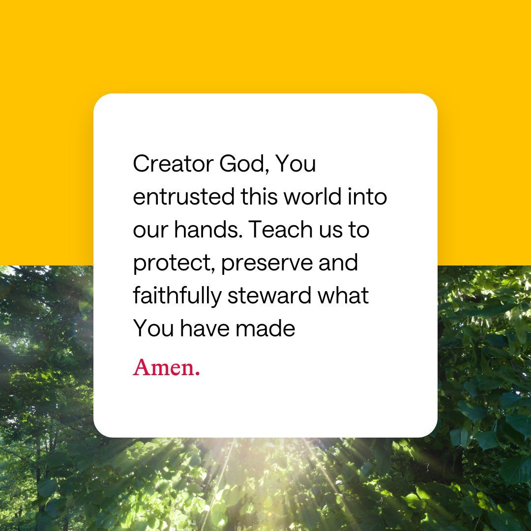 May we be faithful stewards of God's creation. Let our actions reflect gratitude and honour in how we live today. ❤️