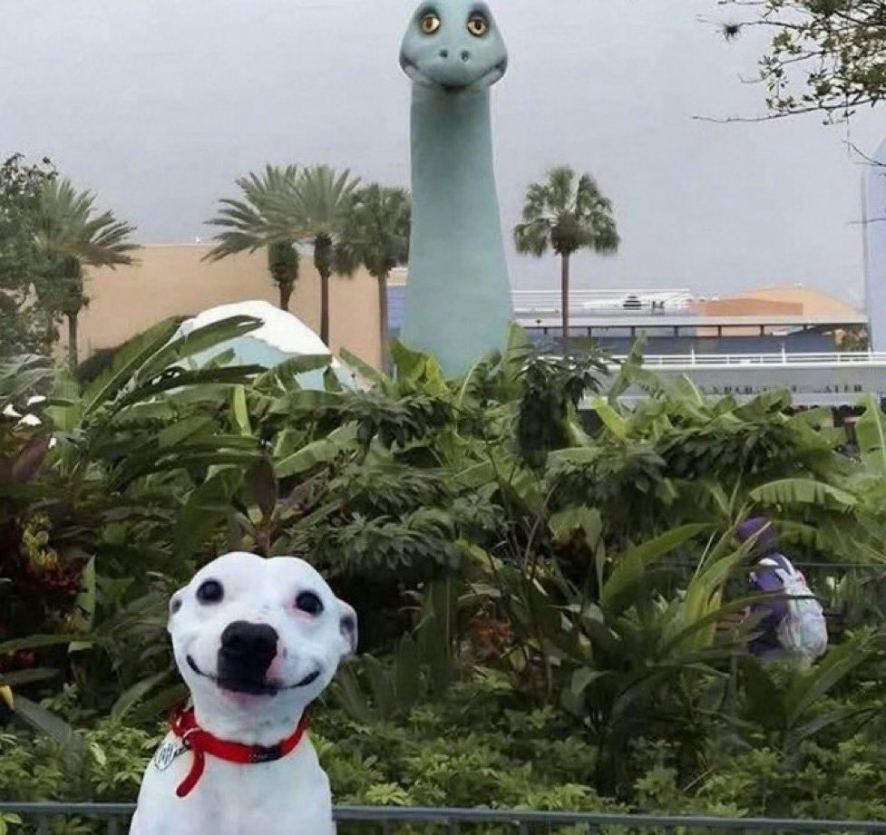 아팝페가요 개오랜만이야..