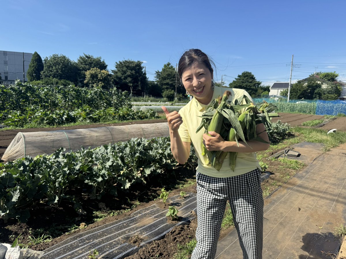 今日の午前は善福寺の農園でとれたてのとうもろこし🌽を❗️  早速おうちで茹でて食べましたが（写真撮る前になくなり😭）、杉並育ちのとうもろこし🌽、滋味があり美味しかったです💕  宅地が増え昔ながらの農園が減ってきてますが（私が子どもの頃はこの辺も畑たくさんで芋 ..., image size:1200x900