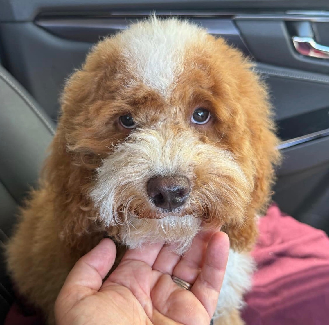 Russ coventry tweet media