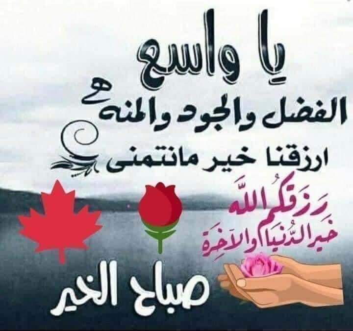 Alaa Hefny MOHAMED (@asd_hefny) on Twitter photo 