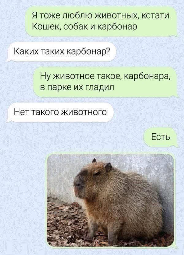 Не карбонар, а карабинер)