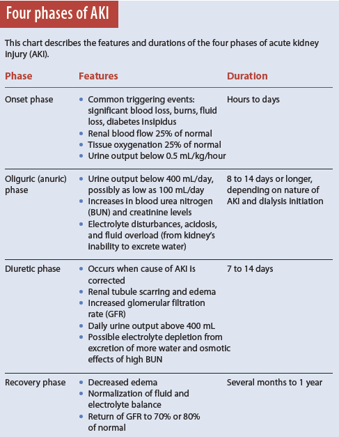 Ahmedata7777's tweet photo. Four phases of Acute kidney injury https://t.co/9cuD6Ql6F2