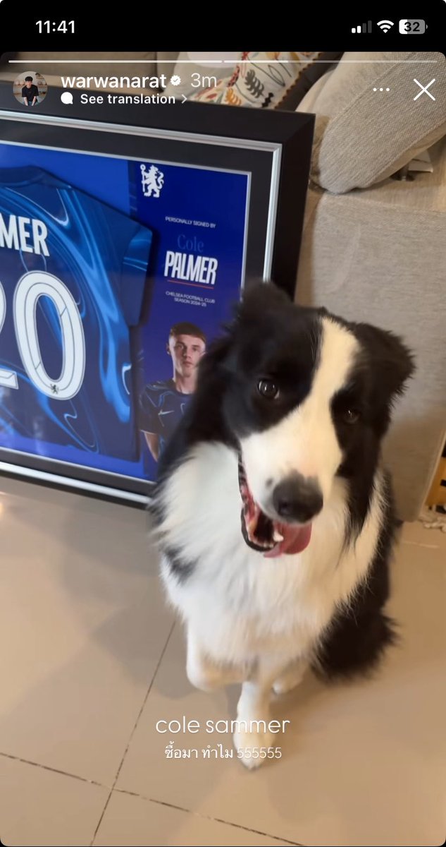 GardenKed's tweet photo. Update trend:👏
gdt 12:00 น.

นึกว่าจะไม่ติดแล้ว🥹

#28 🇹🇭 
#sammerbcollie 🐶🐾 

#warwanarat @warwanarat W.Wanarat https://t.co/0DXyQAJi09