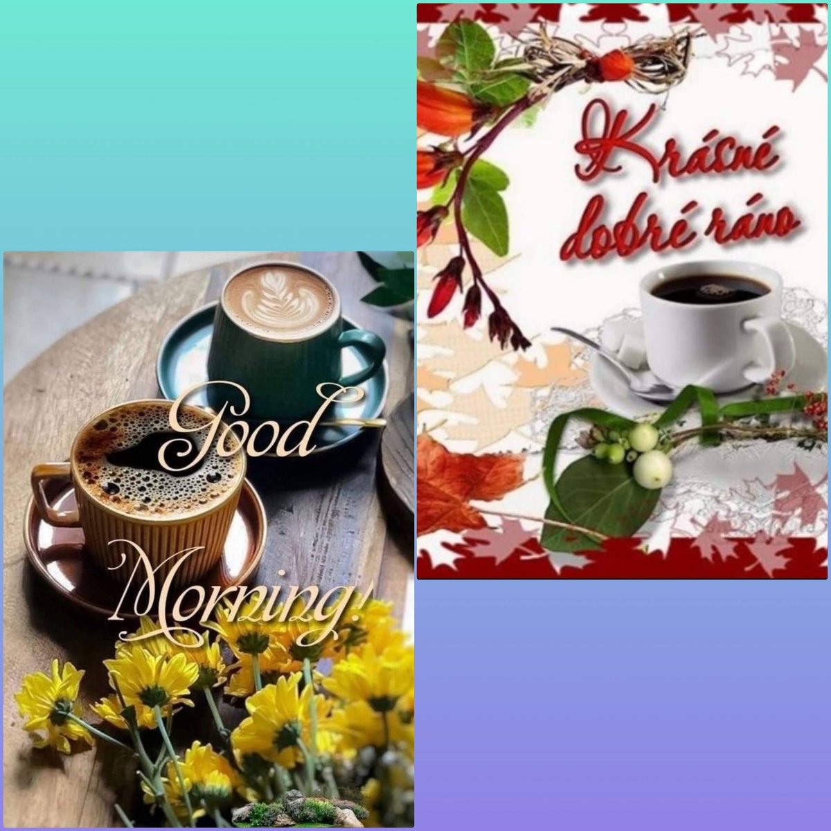 Dobré ráno děvčata ❤️😉 Good morning ☀️🌼 Günaydın Can 🌹☕ Buongiorno 🌿☀️ Buenos días 🌺🌻. Krásné víkendové ráno a příjemný den. 🍀🦋🌹

#CanYaman #ElTurco #Sandokan
#CzechFansCanYaman
☀️🌿🌼🌿🌼🌿🌼🌿☀️