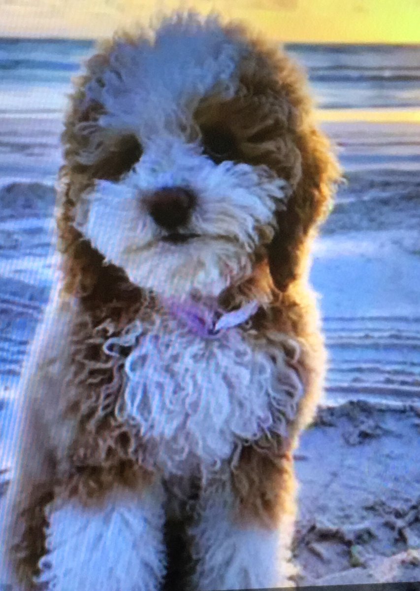 Russ coventry tweet media