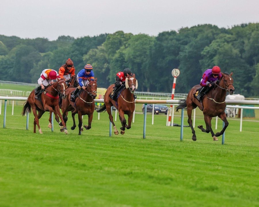 InsigniaRacing's tweet photo. Pomme Pomme wins ⁦@haydockraces⁩ to make it an amazing five-timer! A brilliant effort by all ⁦@ChannonRacing⁩, jockey Rose Dawes, breeder ⁦@RathaskerStud⁩ Our owners are over the moon!⁦⁦@RSAsyndicates⁩ ⁦@GBRacing⁩ #horseracing #sharedownership https://t.co/6FfnMWzNpt