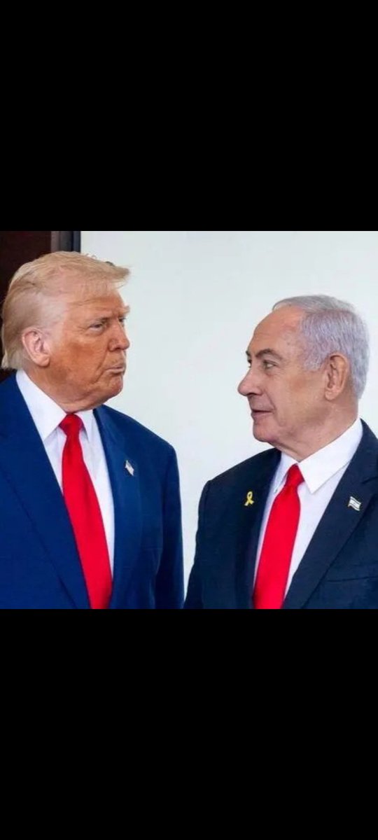 🎙️🇲🇽 MASTER 🥑 tweet media