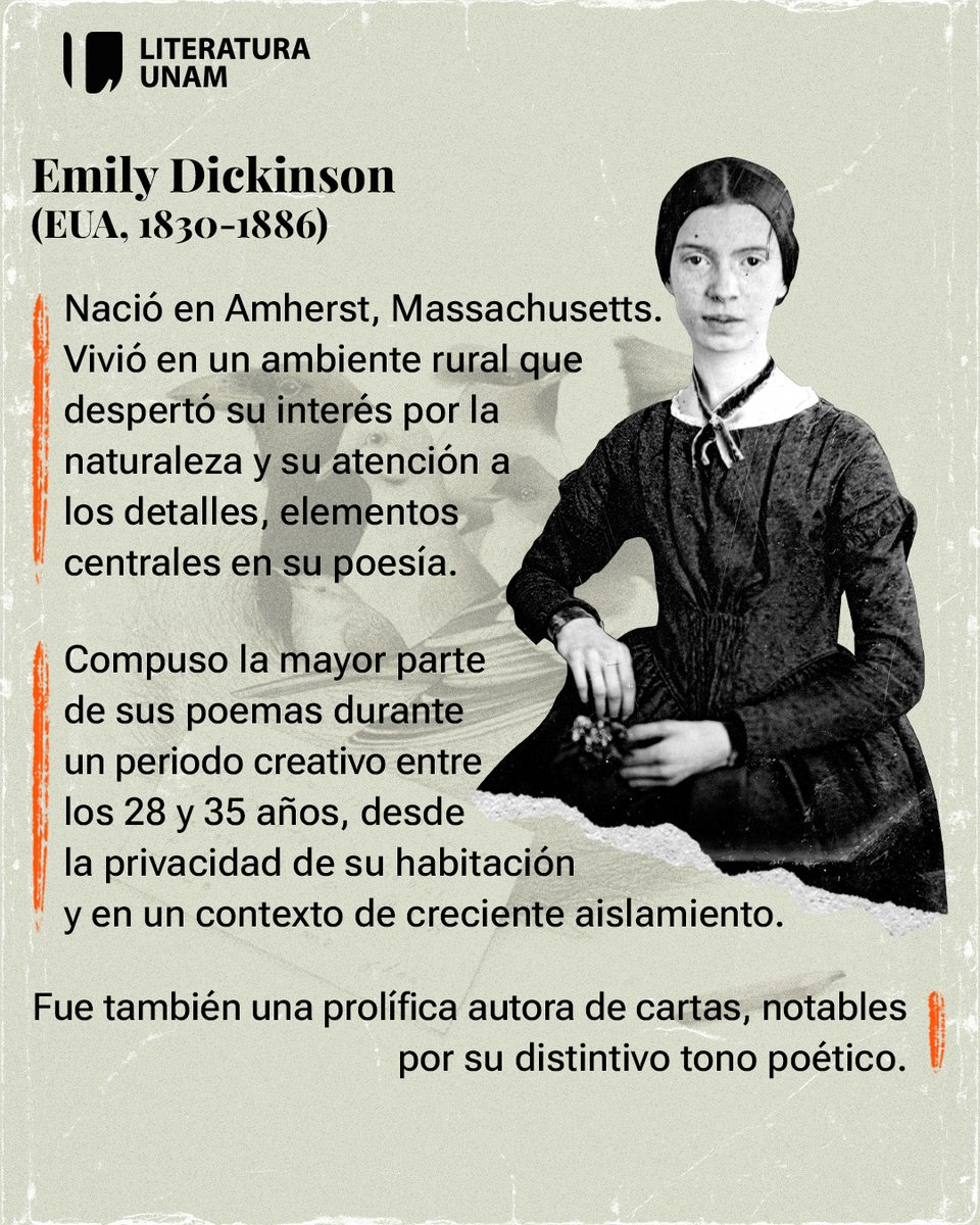 ✨ Descubre "El secreto de la oropéndola" (2025) 🐦🌿, de Emily Dickinson (Amherst, 1930), un homenaje a las aves y la naturaleza. 📖🎨

#emily #emilydickinson #autoras #literatura #poesía #naturaleza #vida #plantas #aves #pájaros #recomendación #leer #libros #librosrecomendados
