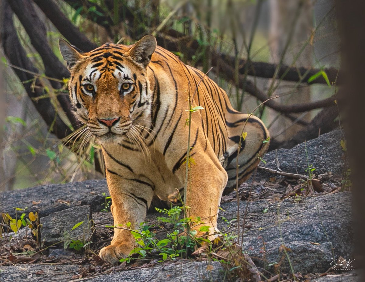 Sundar Eshwar tweet media