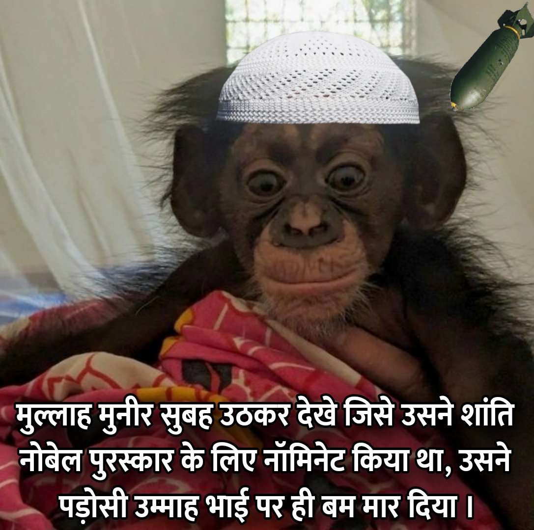 Ashish Kumar tweet media