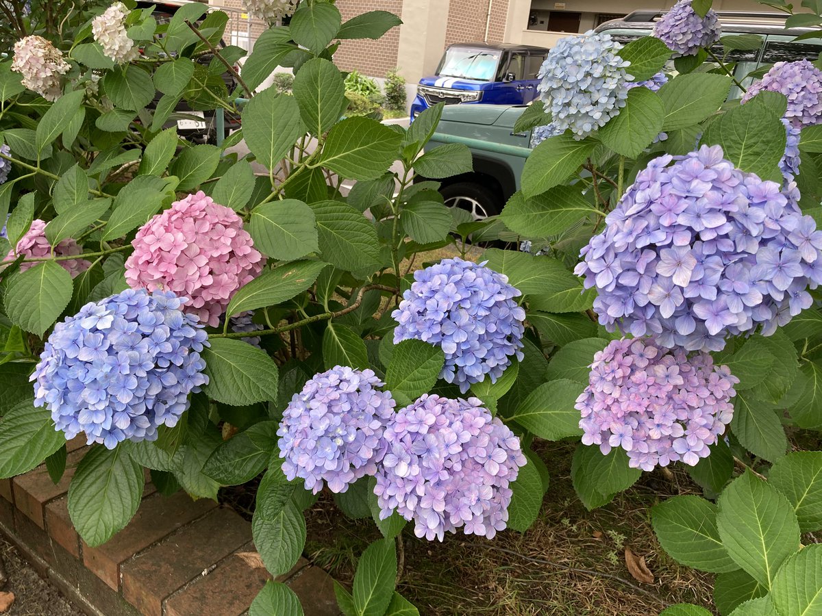 ugachanblog's tweet image. みなさん こんにちは
明日から全国的に雨模様で梅雨らしい
天気になりそうですね
今日も蒸し暑いので水分補給しながら
素敵な休日をお過ごしください🍀✨
私も週末日課になり始めた
朝からのジム、ウォーキング🚶♀️
風が吹けば少し暑さが和らぎました
簿記 予算管理問題集しっかり
つめていきます😊