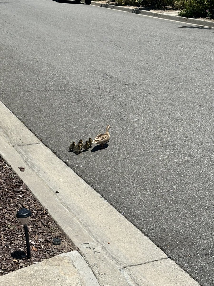 RyanRoastinyall's tweet photo. @pixiedrink Saw some old coworkers today https://t.co/mdXvcHjyvF
