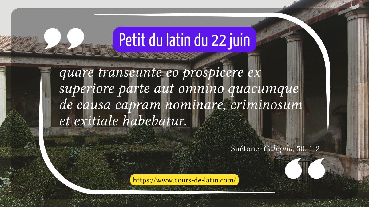 CoursDeLatin's tweet photo. « Petit latin » du dimanche 22 juin.

Retrouvez chaque jour un nouveau #petitlatin très précisément annoté pour vous entraîner à lire du latin sur https://t.co/gj47ZA5YtC

#prepalitteraire #khagne #hypokhagne #grecancien #latin #prepaal #agregation https://t.co/cxRBnGWz7B