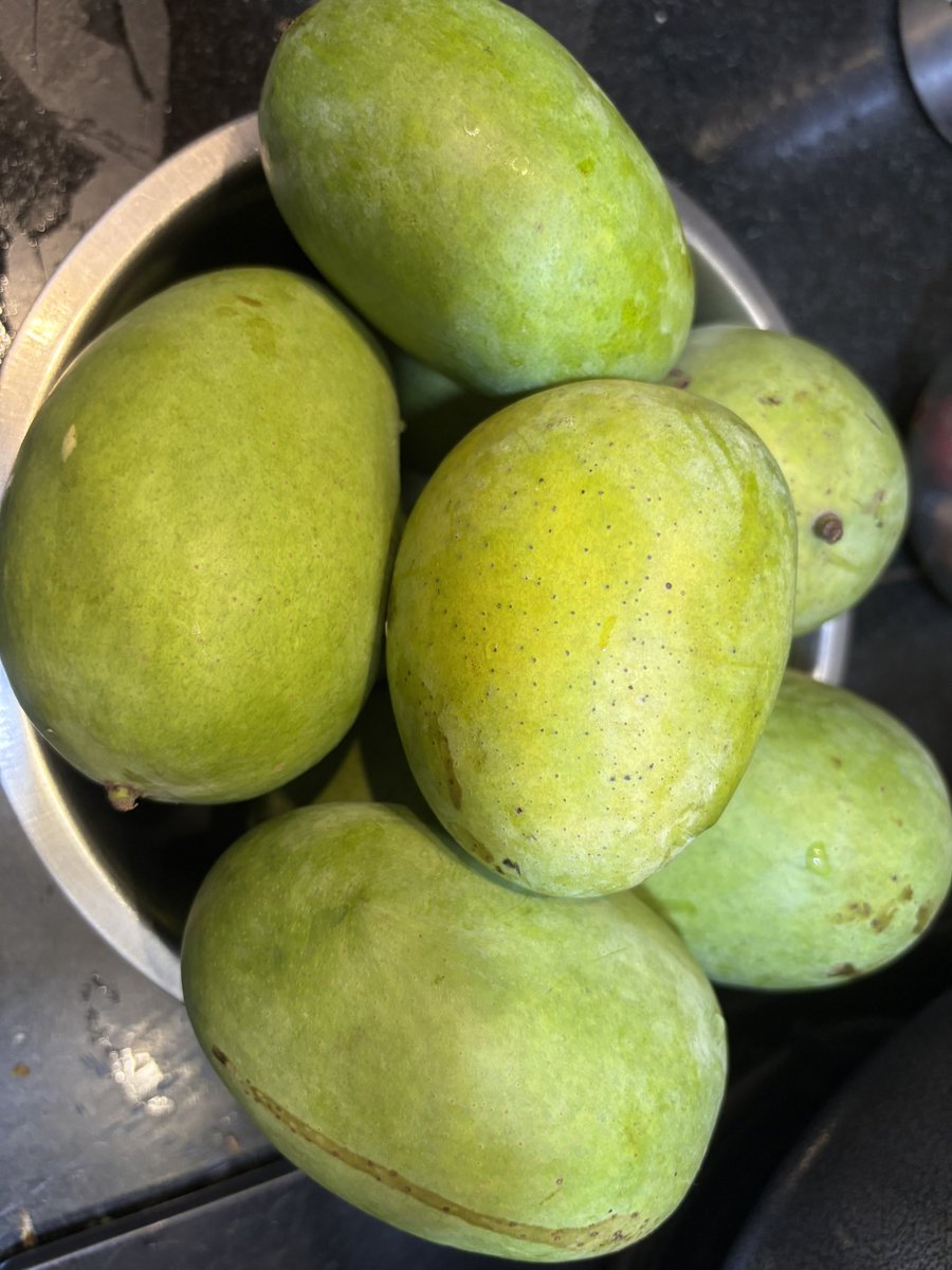 Some more Malda all the way from Patna. Family love ❤️ 
#mangoes