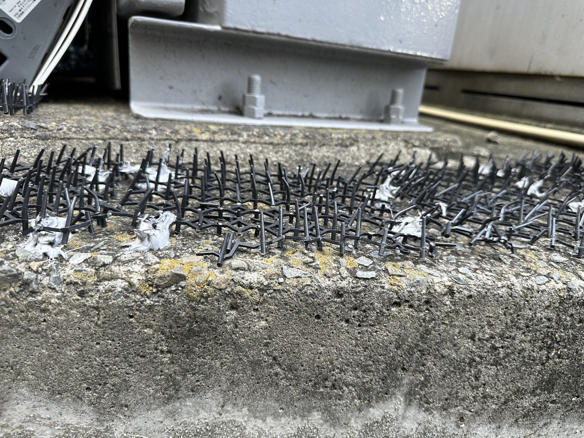 Also on the subject of overtourism, recently noticed these spikes someone added to a concrete ledge in front of a shop in Harajuku, presumably to stop tourists from sitting there.