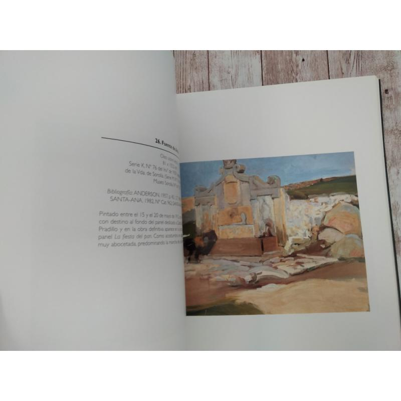 Sorolla y Castilla 
VVAA

Fondos del Museo Sorolla, 2003

laviejafactoriadelibros.com/libro/252166-s…