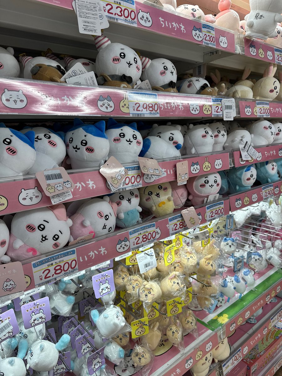 アキバドンキはちいかわコーナー充実してるから大すき！
たまに持ってないぬいぐるみとかあるからマジ穴場すぎないか🤣
なぜかしれっと混ざってるドラミちゃんがいて笑った。