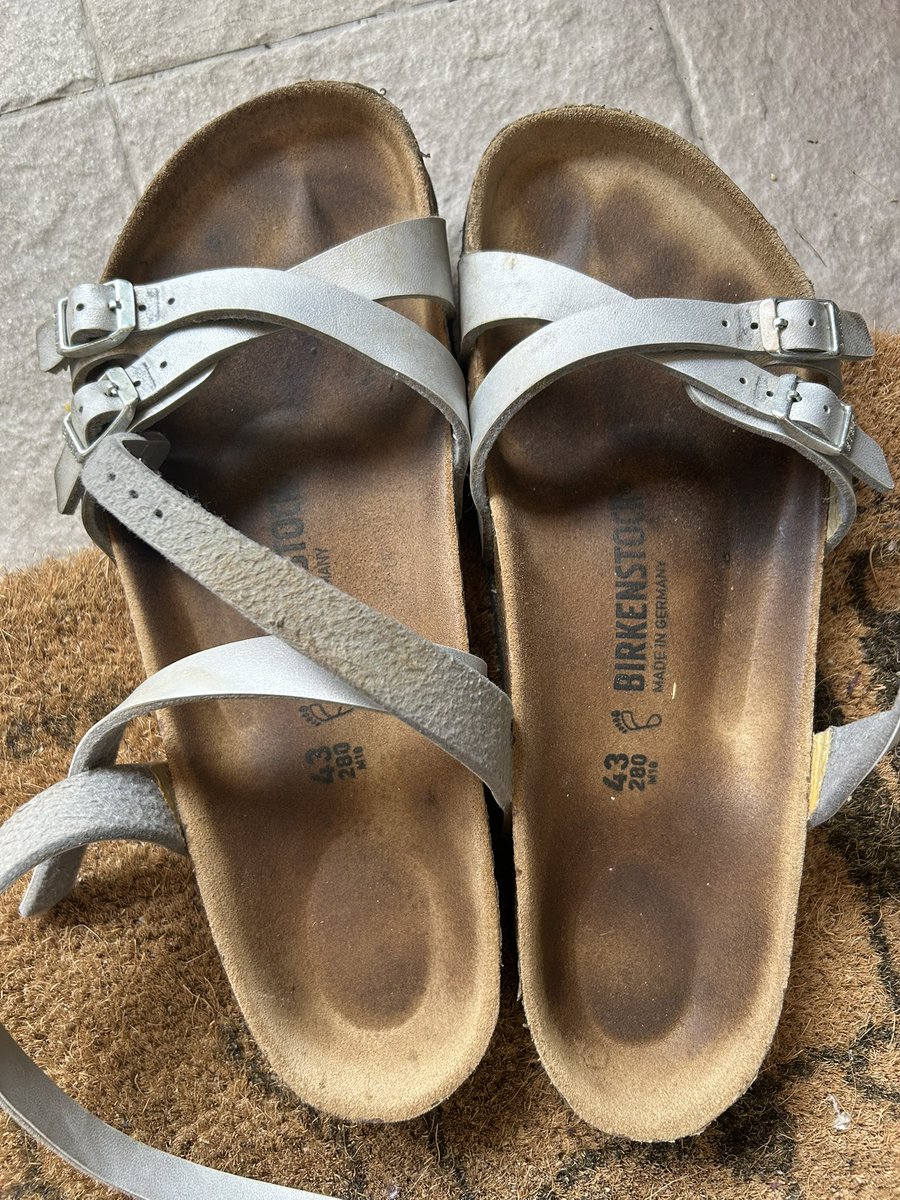 Italian Girlfriend tweet media