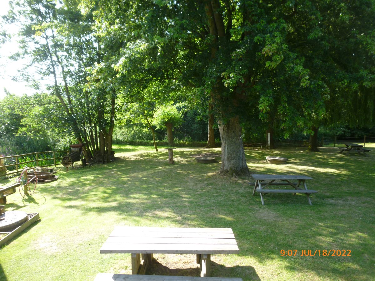 We are open every Wednesday from 10.30am, last entry 3.30pm. Non-steaming for self guided tours.   
Beam Engine, Tradesmen's Tools, Clocks &amp; much more. Volunteers including Blacksmiths Demonstrating.  
Millie the Mill Cat Trail for younger visitors.   
Tea Room &amp; Gift Shop open.