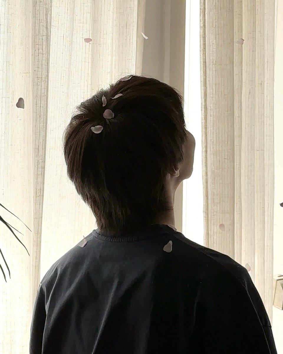 backhhyeong2's tweet image. 걍 영원히 바라보고 싶음 띨롱 꽃잎이랑 볼따구를 한없이 영원히