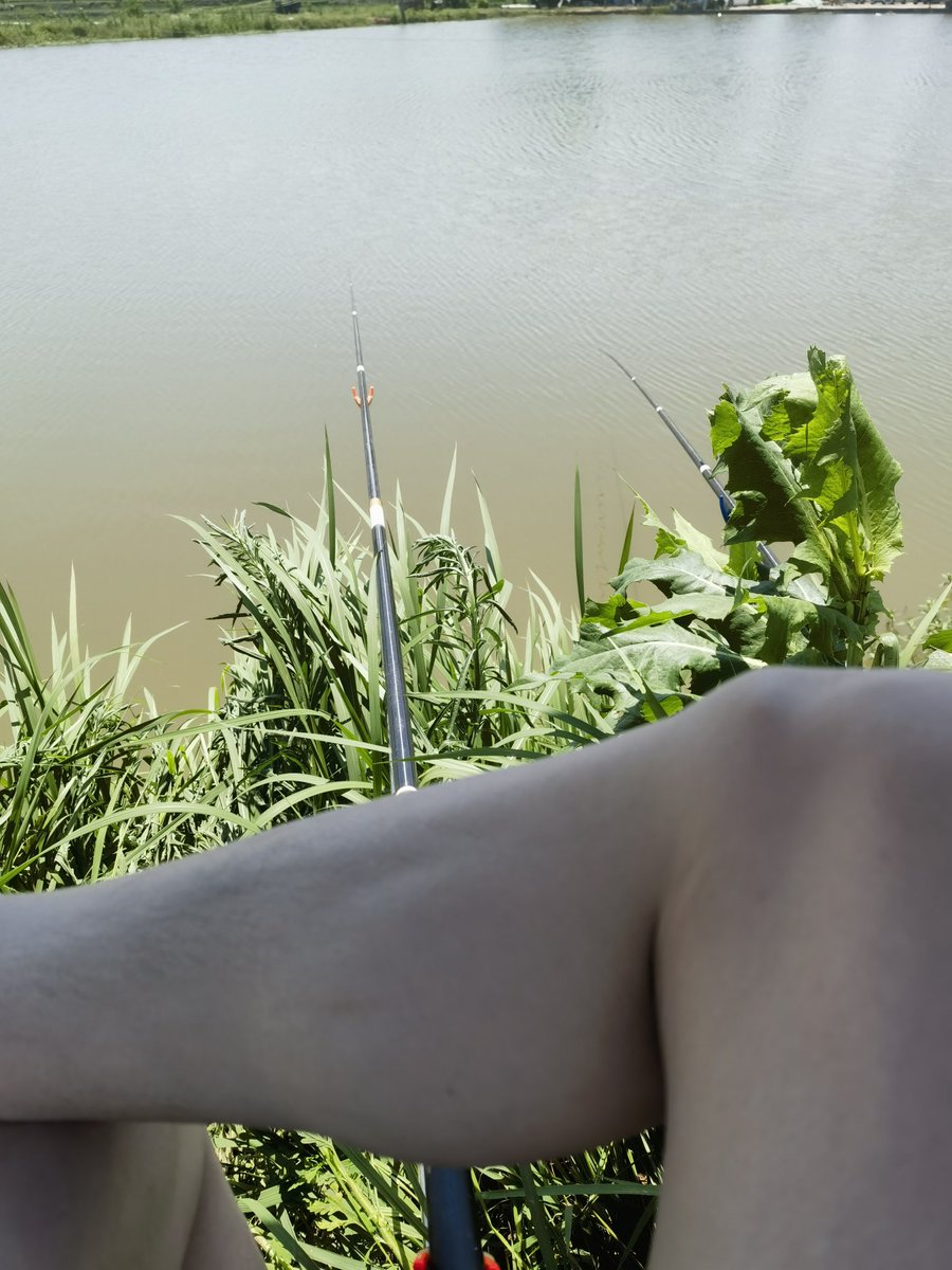 行情跌的舒服，除了喜欢看行情就是喜欢野钓