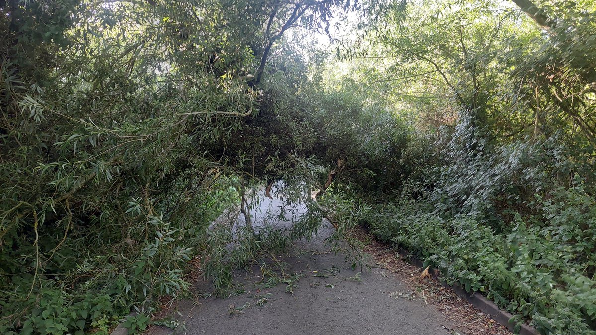 lapsangouch's tweet image. Tree down on Kirton's Farm Road near Reading Green Park Station @tvprp @ReadingCouncil #rdguk