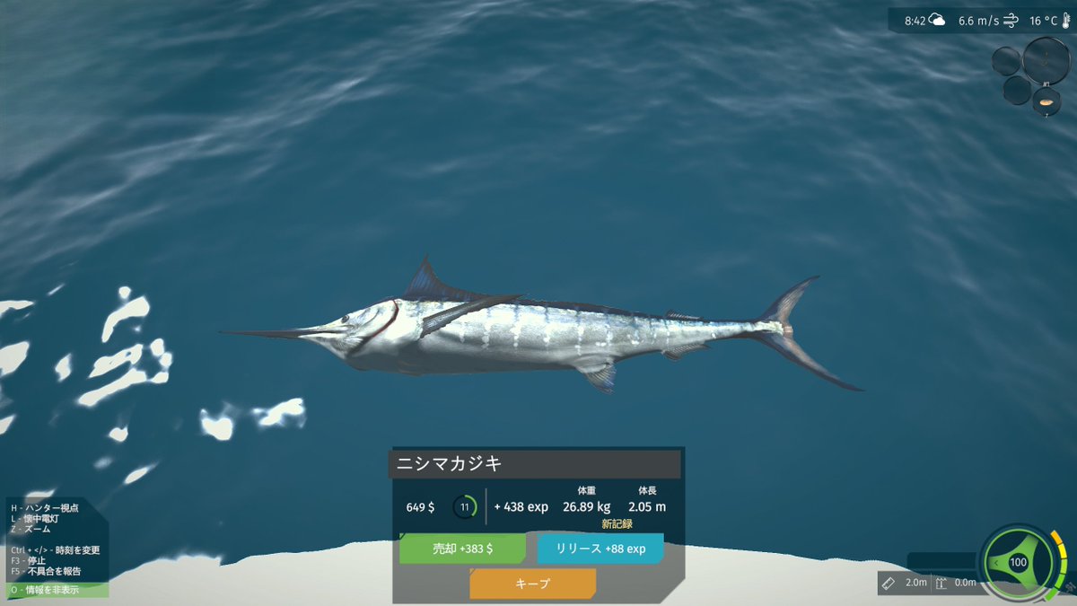 インディーゲーム大好き人間 tweet media