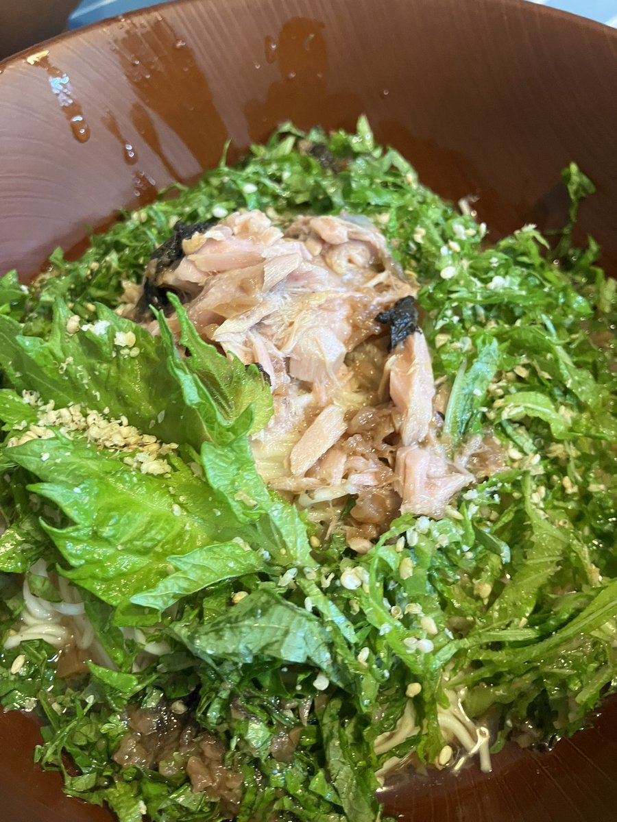 休日のブランチ。
薬味が薬味の範囲を超えて、メインになるぶっかけ麺。