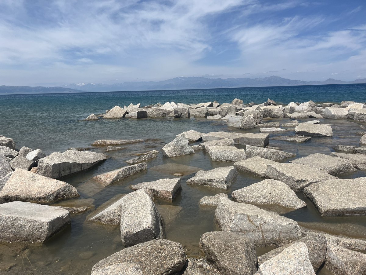 Peony Group tweet media