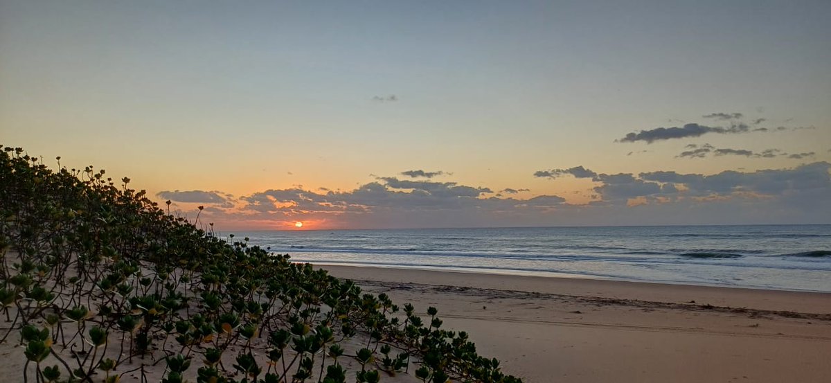 iSimangalisoZA's tweet photo. How you start or end your day is entirely up to you! Why not be in iSimangaliso for the serenity and uniqueness of it? Good morning world π
#visitisimangaliso
#wheremiraclesneverend https://t.co/BDvoeWkdM1