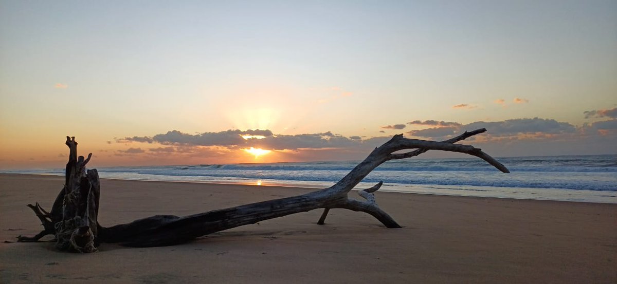 iSimangalisoZA's tweet photo. How you start or end your day is entirely up to you! Why not be in iSimangaliso for the serenity and uniqueness of it? Good morning world π
#visitisimangaliso
#wheremiraclesneverend https://t.co/BDvoeWkdM1