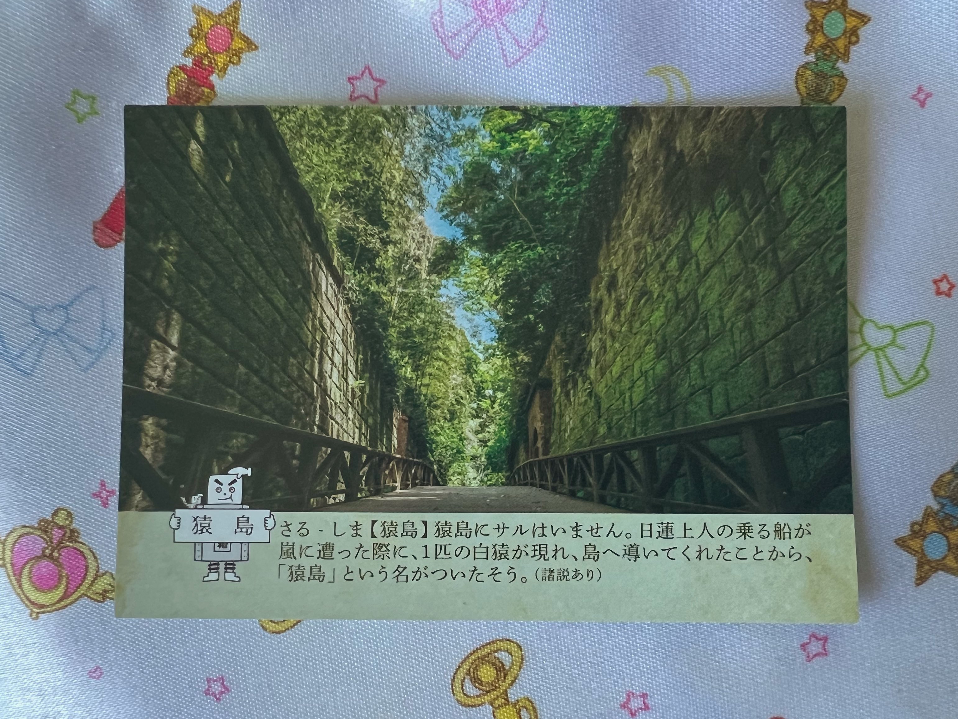 2025最新KOGYARU6月号/CNPトレカ/コラボトレカ/予約限定レア